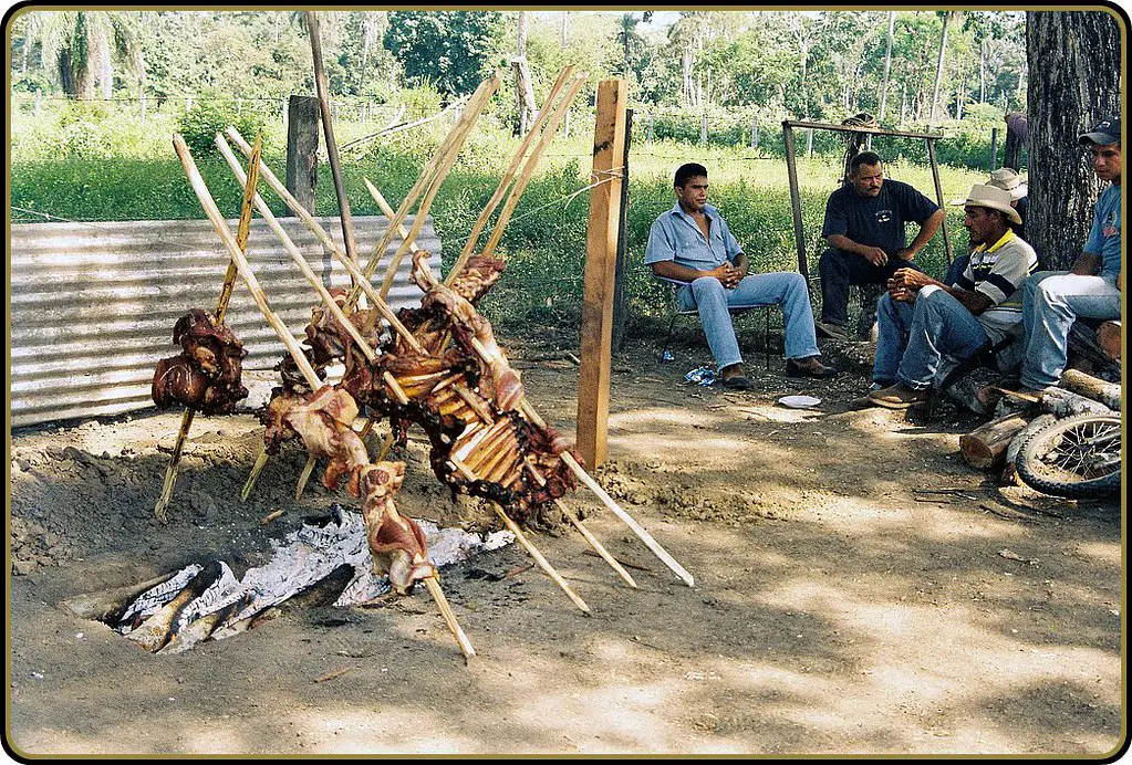 Carne en Vara en el llano venezolano